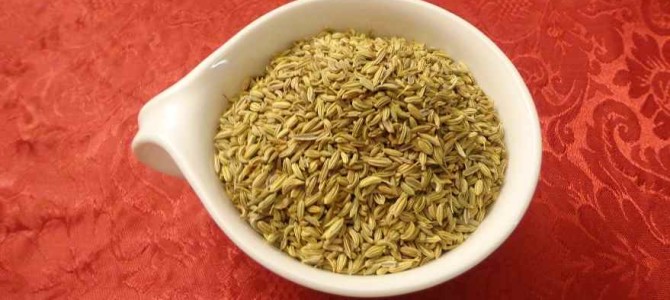 Fennel Seeds are Fantastic!